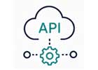 api icon
