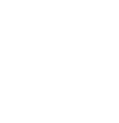 api icon
